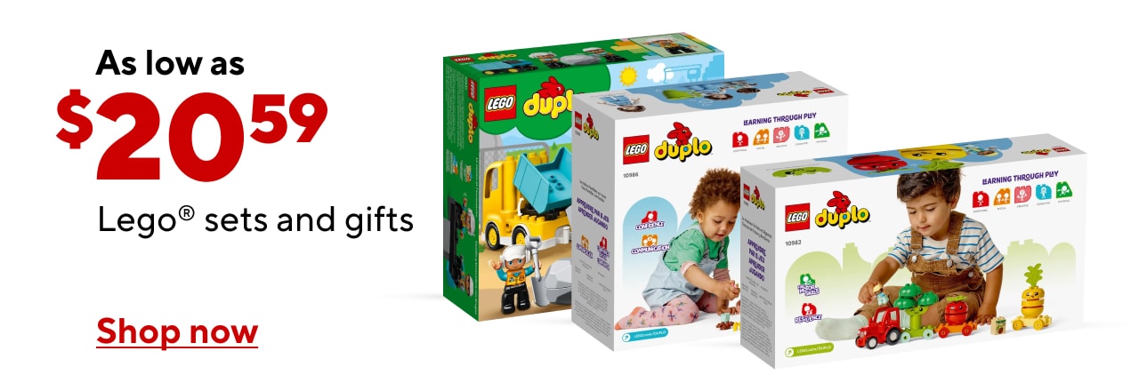 Give the Gift of LEGO