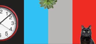 Collage of a clock, succulent, and a cat