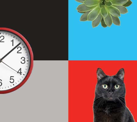 Collage of a clock, succulent, and a cat